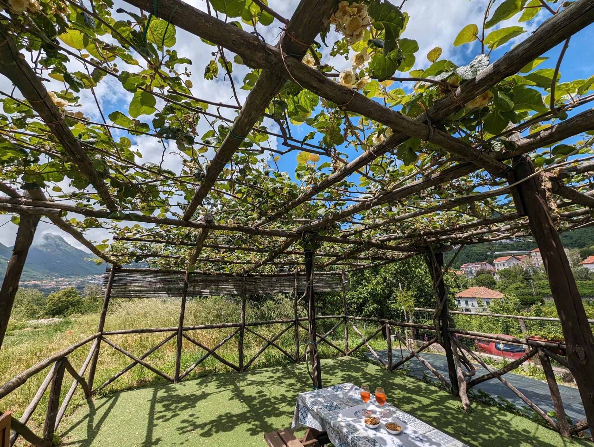 Louis House Ad Agerola Per Amalfi Positano Pompei Villa Camera foto